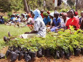 Women on frontline to mitigate climate change