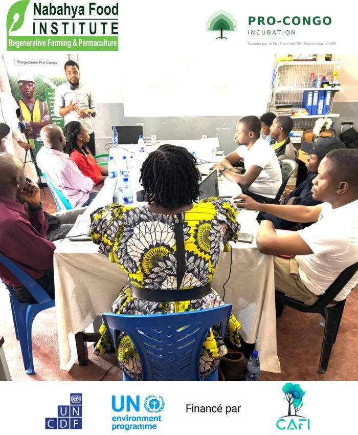 Strengthening Entrepreneurs’ Financial Literacy and Planning Skills through the Pro-CONGO Programme