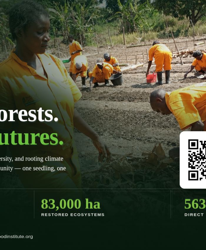 🌳 We grow forests. We grow futures.