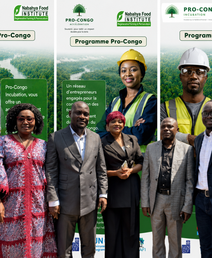 A Look Back at the Pro-Congo Programme Pitch Day in Lubumbashi
